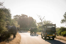Load image into Gallery viewer, Kruger National Park Getaway - Nkuhlu Tented Camp - Instant Experiences
