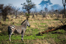 Load image into Gallery viewer, Kruger National Park Getaway - Nkuhlu Tented Camp - Instant Experiences