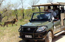 Load image into Gallery viewer, Escape to The Kruger National Park - Nkambeni Safari Camp - Instant Experiences