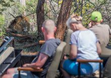 Load image into Gallery viewer, Escape To The Kruger Park - Makalali Main Lodge - Instant Experiences