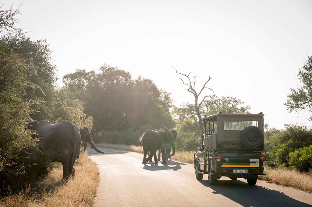 nkulu tented camp Kruger National Park Getaway