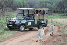 Load image into Gallery viewer, Pilansberg Getaway - Ivory Tree Lodge - Instant Experiences 
