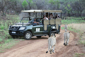 Pilansberg Getaway - Ivory Tree Lodge - Instant Experiences 