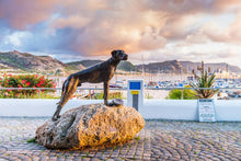 Load image into Gallery viewer, Breath Taking Simon&#39;s Town - Simon&#39;s Town Quayside Hotel - Instant Experiences 
